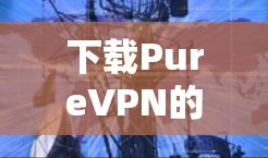 下载PureVPN的iOS应用可以通过以下步骤轻松完成